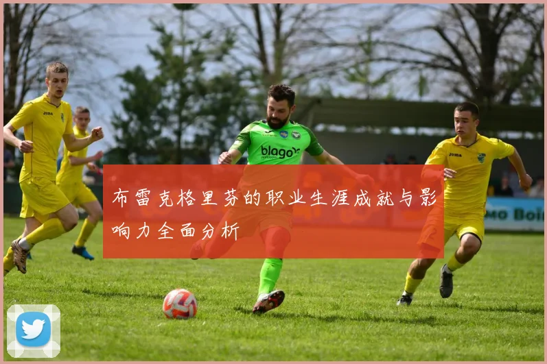 布雷克格里芬的职业生涯成就与影响力全面分析