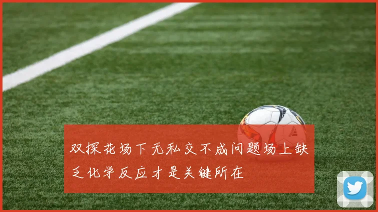 双探花场下无私交不成问题场上缺乏化学反应才是关键所在