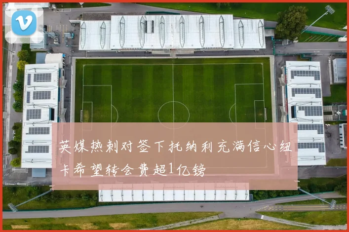 英媒热刺对签下托纳利充满信心纽卡希望转会费超1亿镑
