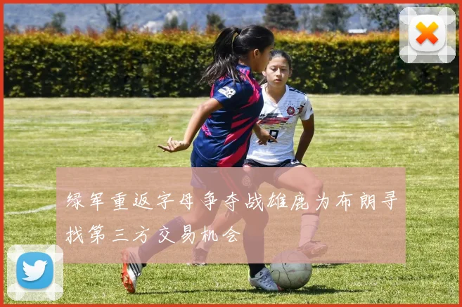 绿军重返字母争夺战雄鹿为布朗寻找第三方交易机会