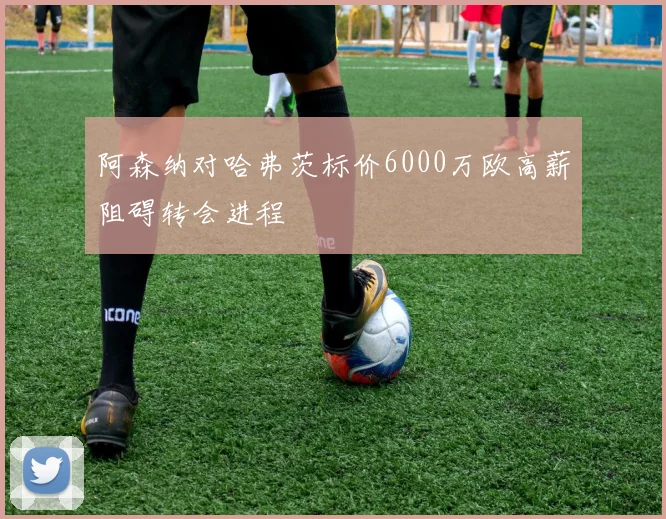 阿森纳对哈弗茨标价6000万欧高薪阻碍转会进程