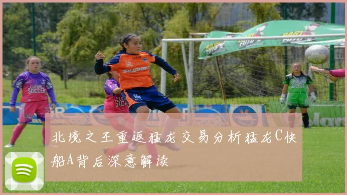 北境之王重返猛龙交易分析猛龙C快船A背后深意解读